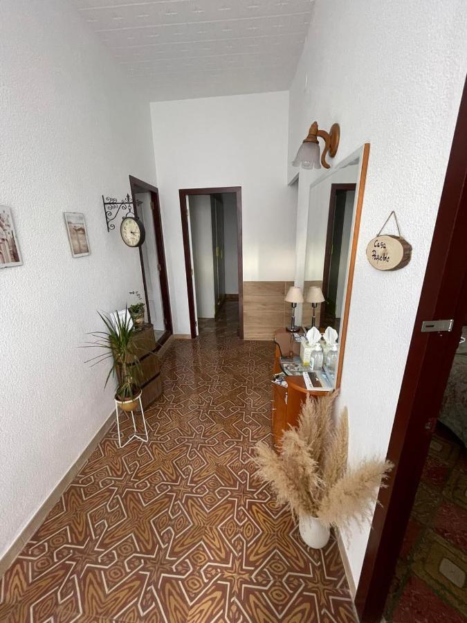 Casa Paqueldo Villa Amposta Dış mekan fotoğraf